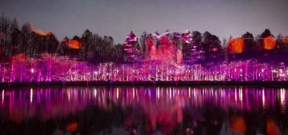 夜赏樱花，顾村公园新体验点亮春夜