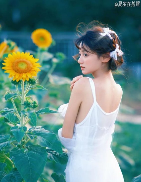 长沙初秋花海：在浪漫的花间舞动