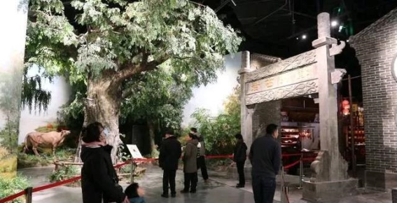 山东春节的文化静谧：在热闹中享受心灵的宁静