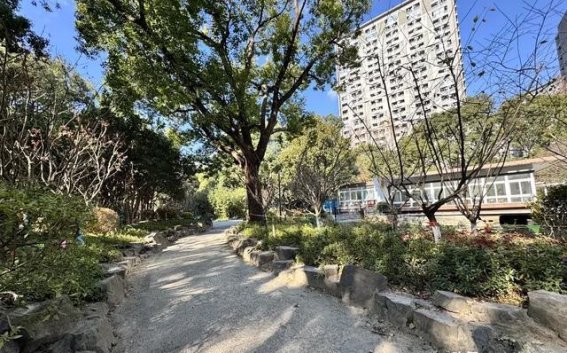 松鹤公园焕新，城市与自然和谐共融