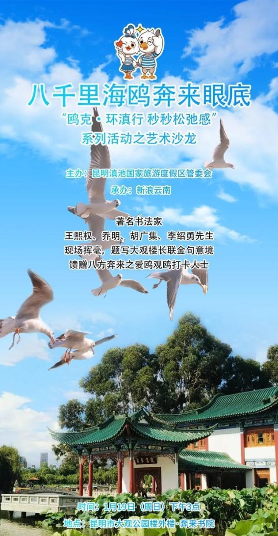 海鸥翱翔 滇池新篇——“鸥克·环滇行”艺术沙龙的文化风景