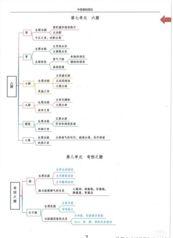 六腑与奇恒之腑的功能与作用