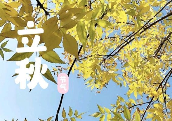 今日立秋要咬秋”，别忘了吃1瓜，食2果，喝3汤，老传统要遵循