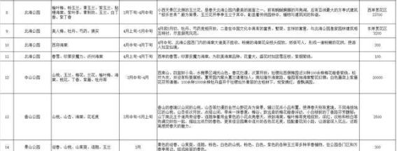 2025年北京市春季赏花活动：多元体验与夜赏新风尚