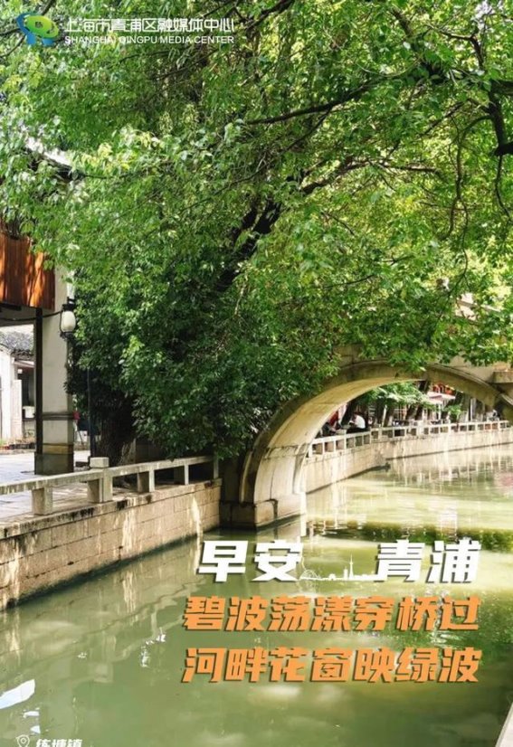 青浦晨曦：波光粼粼与花窗绿影