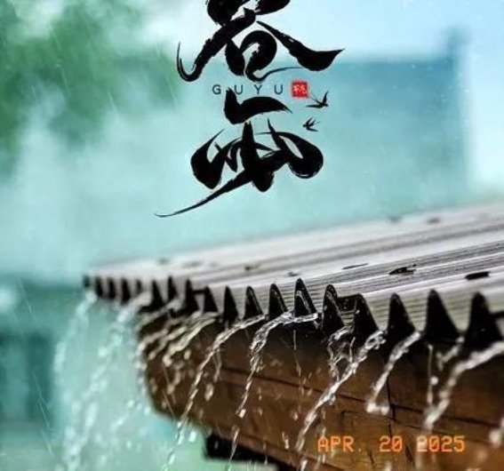 谷雨时节的自然礼赞